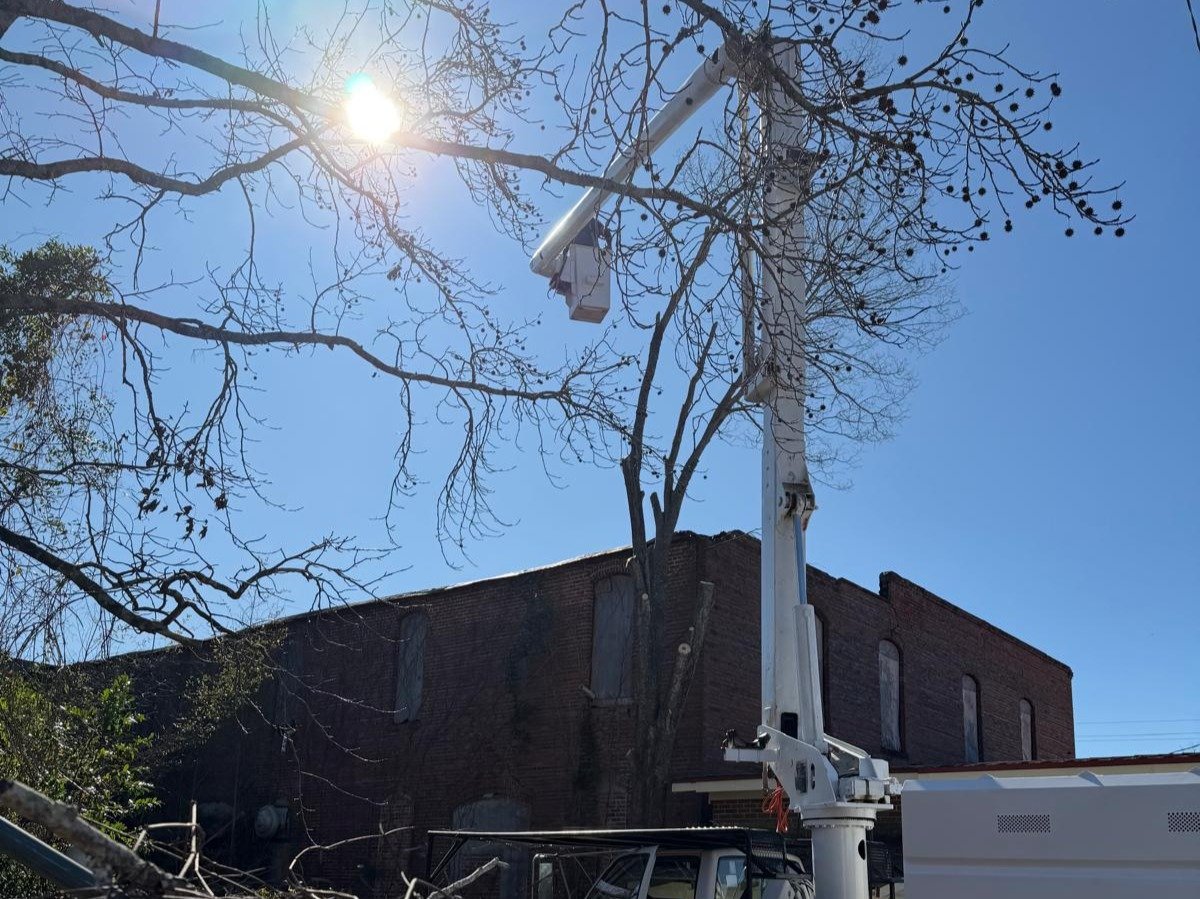 El Costeño Tree Service LLC